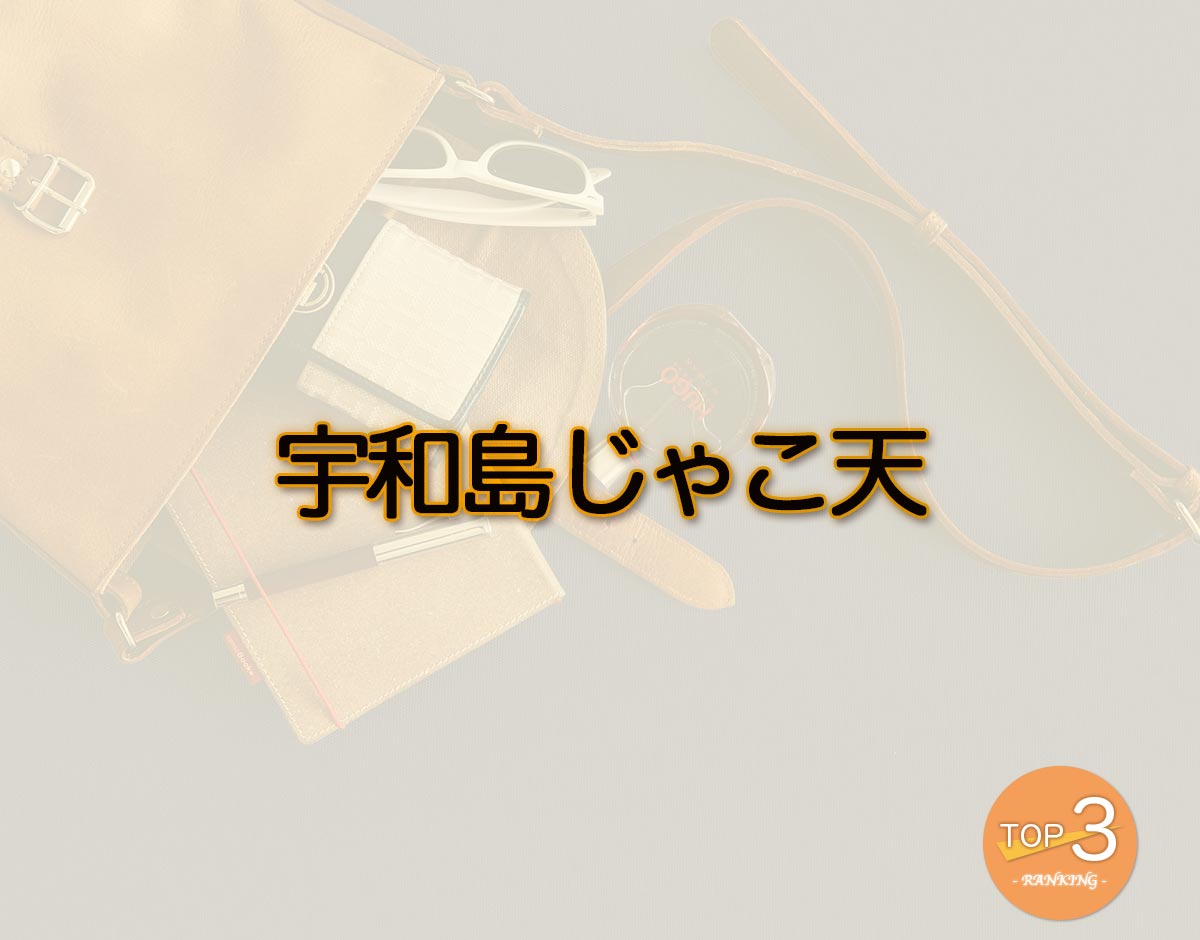 「宇和島じゃこ天」のオススメは？